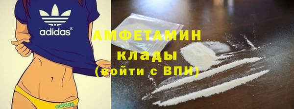 твердый Аркадак